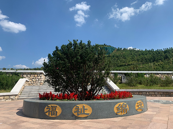 墓园环境